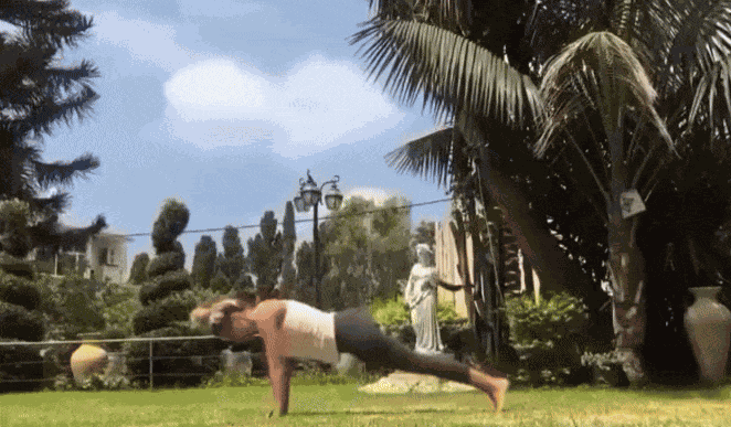 GIF animé