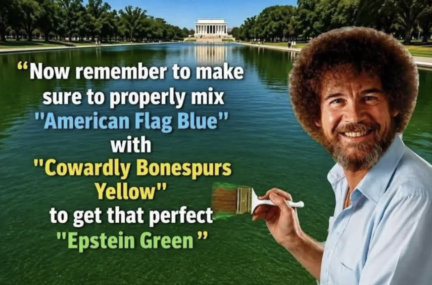 Bob Ross bassin capitole Trump