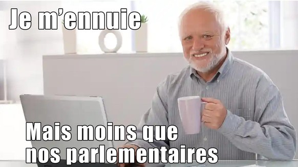 Ennui, Conseil National, Parlement, Enquête