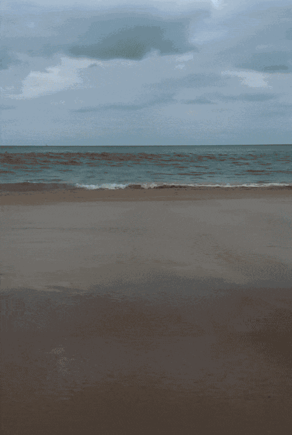 GIF animé