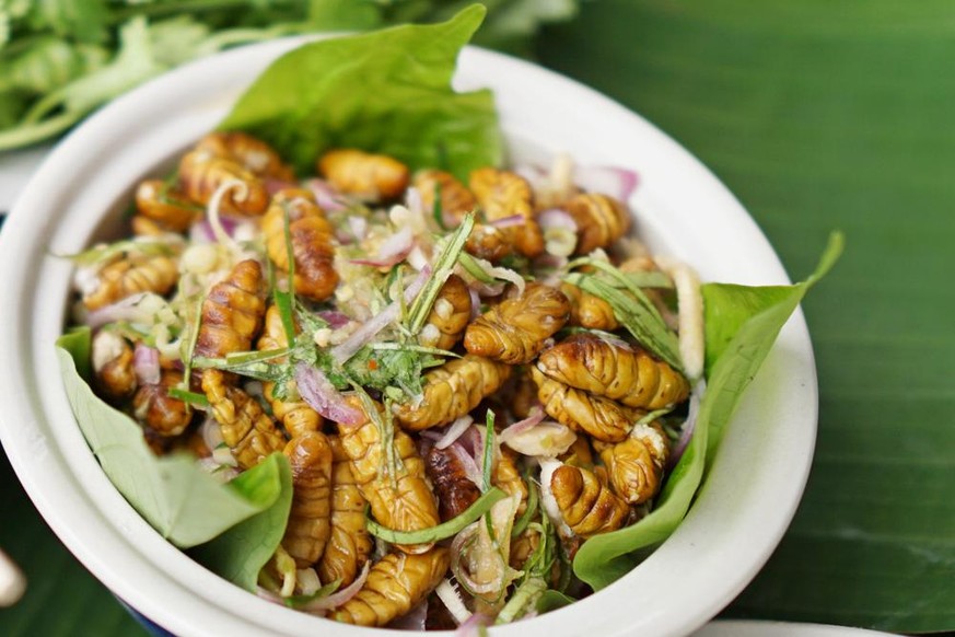 salade épicée avec des vers à soie, riche en protéine