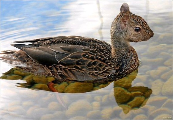 cute news photoshop

https://ch.pinterest.com/pin/1121888957171639543/