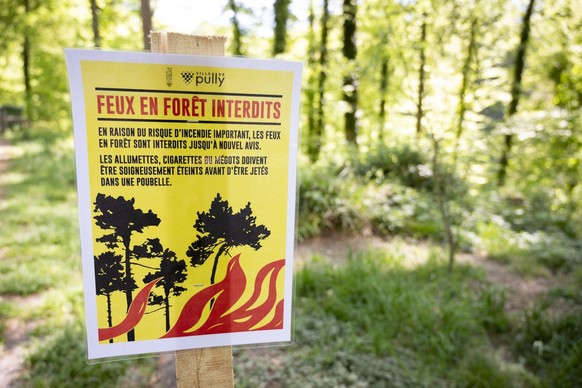 Presque tous les cantons romands ont pris des mesures contre les feux en forêt.