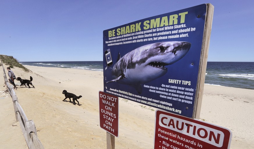 FILE - A woman walks with her dogs behind a shark warning sign at Newcomb Hollow Beach in Wellfleet, Mass, on May, 22, 2019. The New England Aquarium and an environmental group are launching a project ...