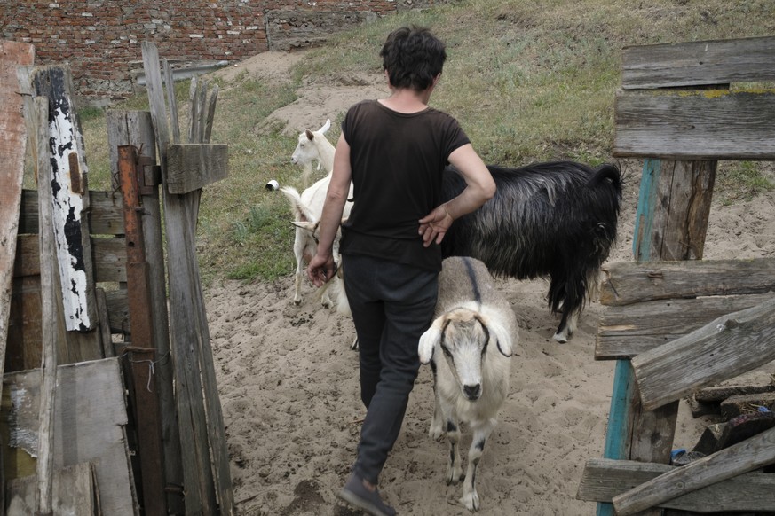epa11333864 Natalia walks with her goats in the outskirts of Volchansk, Kharkiv region, Ukraine, 11 May 2024, amid the Russian invasion. Natalia, along with others, decided not to evacuate but remain ...