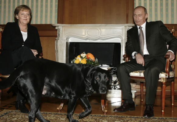 2007 à Sotchi: Vladimir Poutine, Angela Merkel et le labrador.