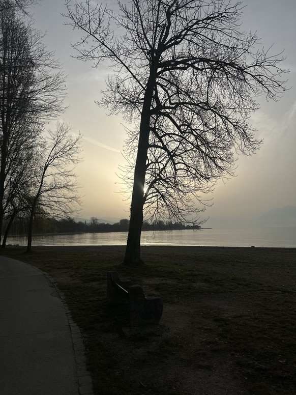 Ouchy, Lausanne, avec Harry Styles dans les tympans.