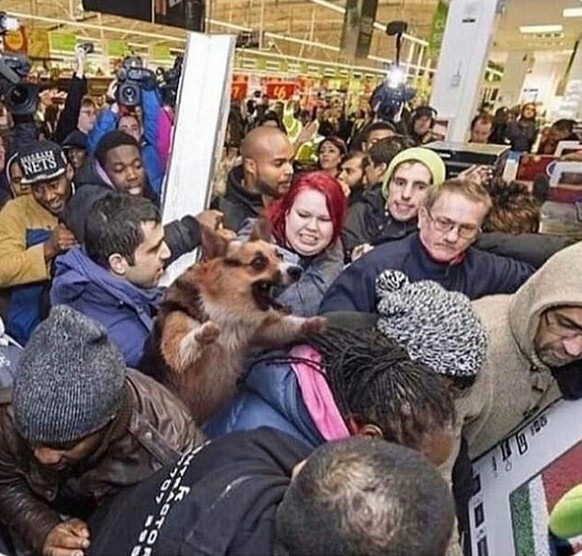Black Friday Meme