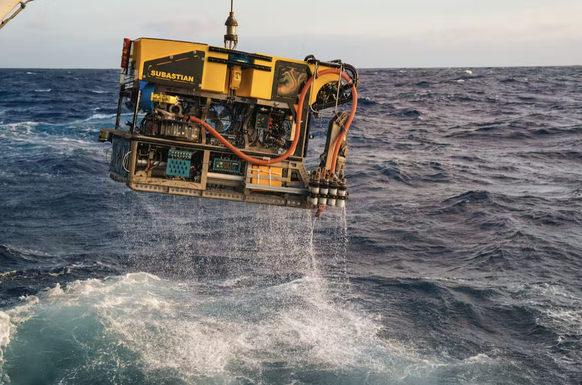 Les images d’un calamar colossal juvénile ont été capturées en direct à partir d’un véhicule télécommandé explorant les profondeurs de l’océan.