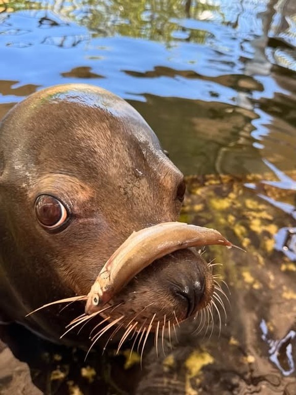 cute news tier robbe

https://www.instagram.com/p/DKry7jEMoN7/?img_index=1