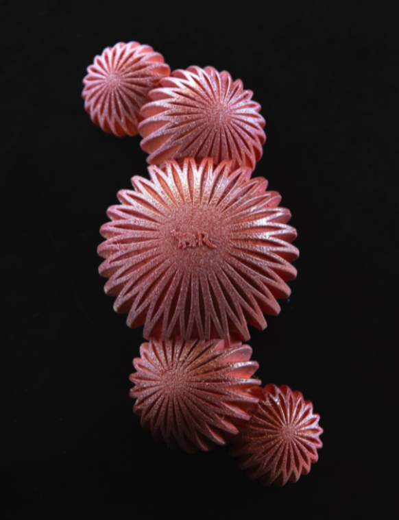 Buche de la Résèrve à Genève