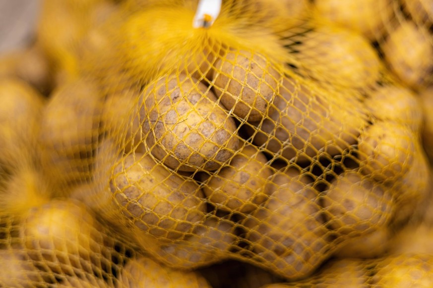 Solanum tuberosum