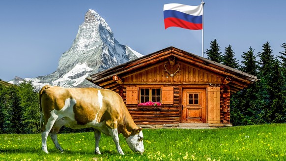 Cow in Switzerland