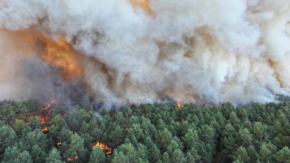 epa13107926 A handout photo made available by the Seine-et-Marne Fire and Rescue Service (SDIS 77) shows a fire raging in Fontainebleau Forest in Noisy-sur-Ecole, France, 12 July 2026 (issued 13 July  ...