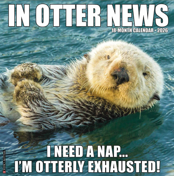 Otter Calendar 2026 
https://www.calendarclub.co.uk/in-otter-news-calendar-2026-329002/