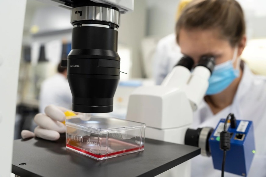 Une collaboratrice examine des cellules cutanées au laboratoire Cutiss à Schlieren (ZH).