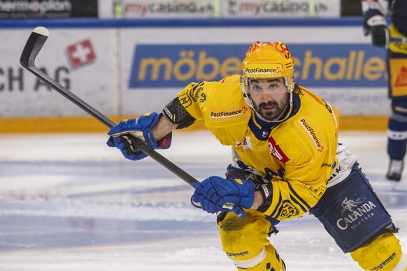 Le Andres code ce soir? Jaune et bleu. Elégant.