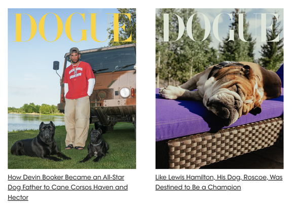 Les couvertures Dogue, version Vogue.