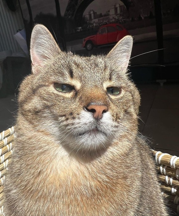 Et le soleil. Ou pas.