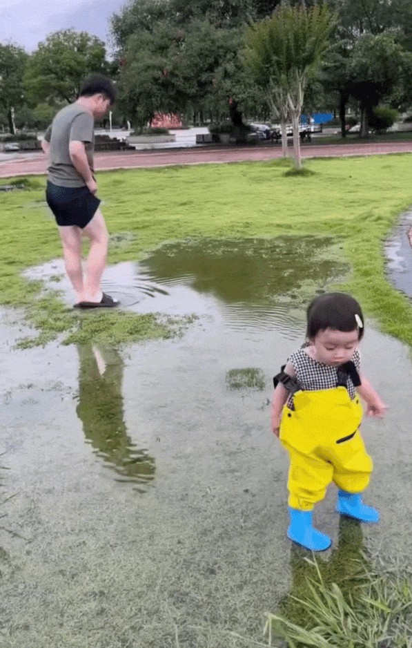 GIF animé