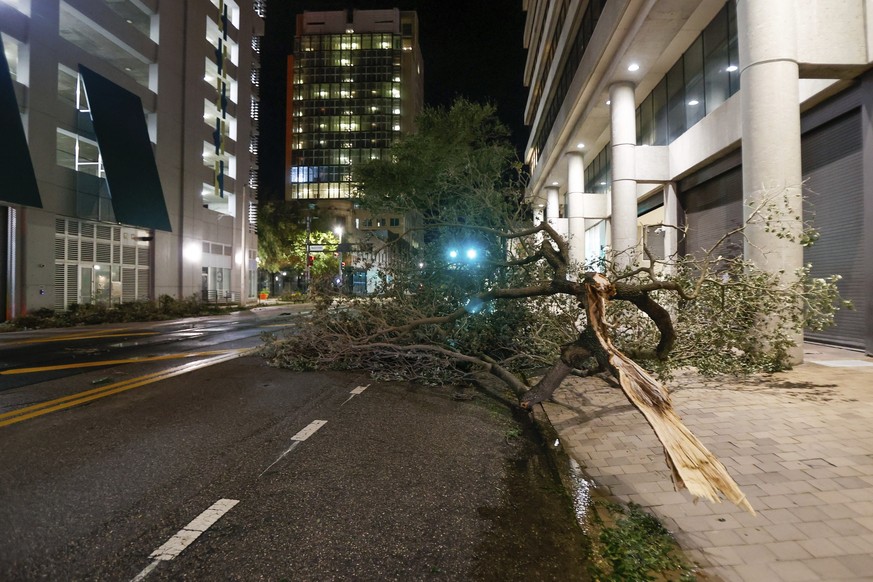 A tree falls on the sidewalk in downtown after Hurricane Milton on Thursday, Oct. 10, 2024, in Tampa. (Jefferee Woo/Tampa Bay Times via AP)