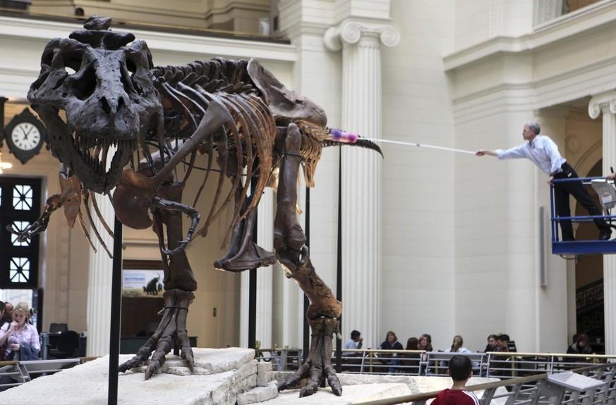 Le T-Rex connue sous le nom de Sue a été vendu aux enchères en 1997