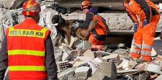 «Les gens meurent sous les décombres»: des chiens suisses aident la Turquie