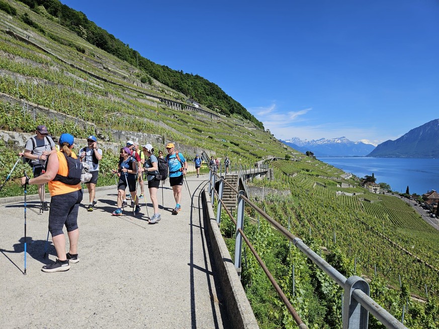 Les participants traverseront le Lavaux, beauté naturelle.
