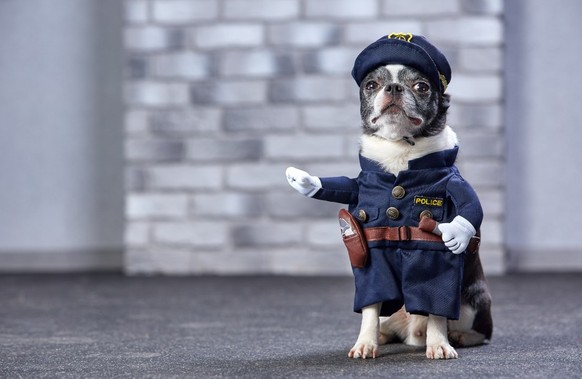 De faux policiers piégés par un septuagénaire vigilant à Fribourg.