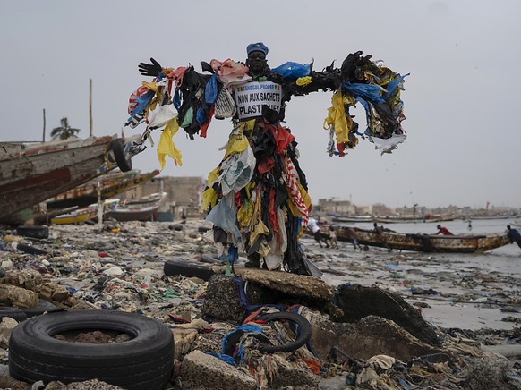 Certains sacs en plastique sont dits &quot;biod�gradables&quot;, &quot;biosourc�s&quot; ou &quot;compostables&quot; (archives).