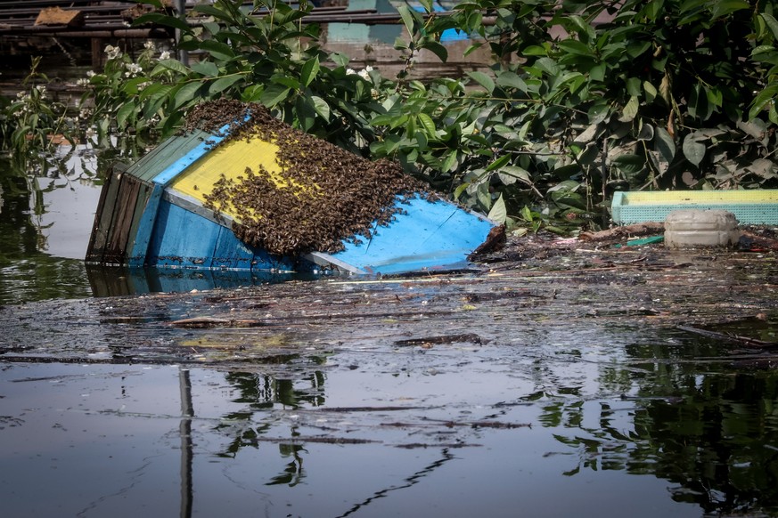 epa10680403 An upended bee-hive in the flood waters in Sadove village, Kherson region, Ukraine, 08 June 2023. Ukraine has accused Russian forces of destroying a critical dam and hydroelectric power pl ...