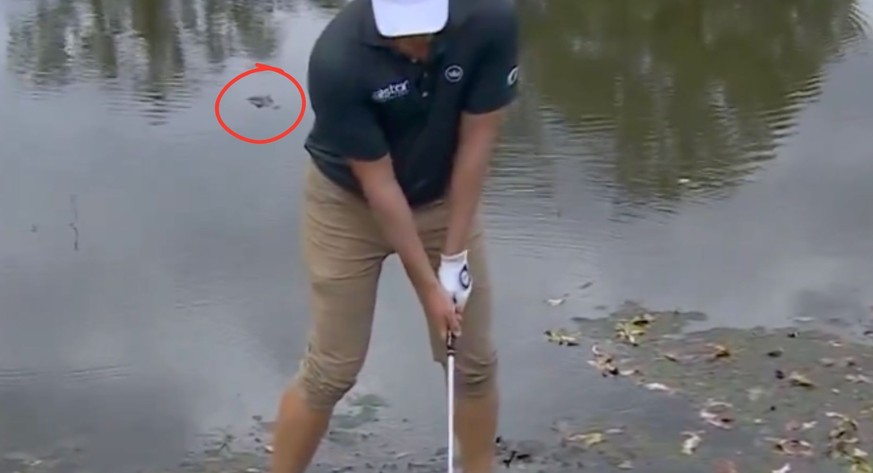 Un énorme danger guettait ce golfeur
