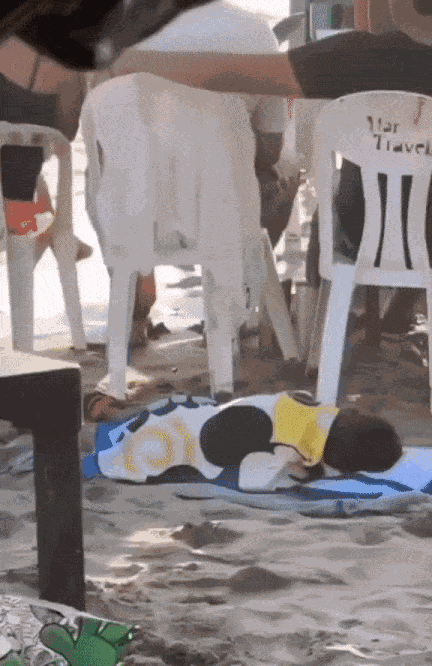 GIF animé