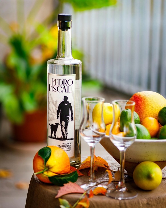 L'acteur Pedro Pascal est en conflit juridique avec une marque de spiritueux chilienne.