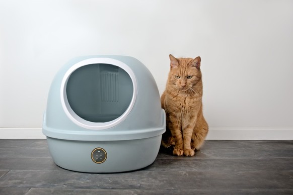 Vaud et Genève ont un problème de chats et Migros s’en mêle.