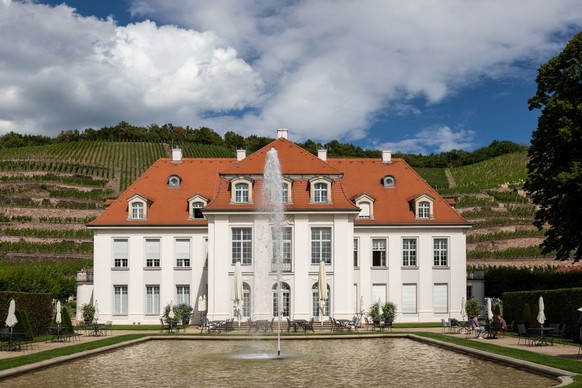 Garden of Wackerbarth castle, DRESDEN, GERMANY - August 23, 2020: Wackerbarth Castle, is a baroque castle surrounded by vineyards in the district of Radebeul which serves as the seat of the Saxon Stat ...