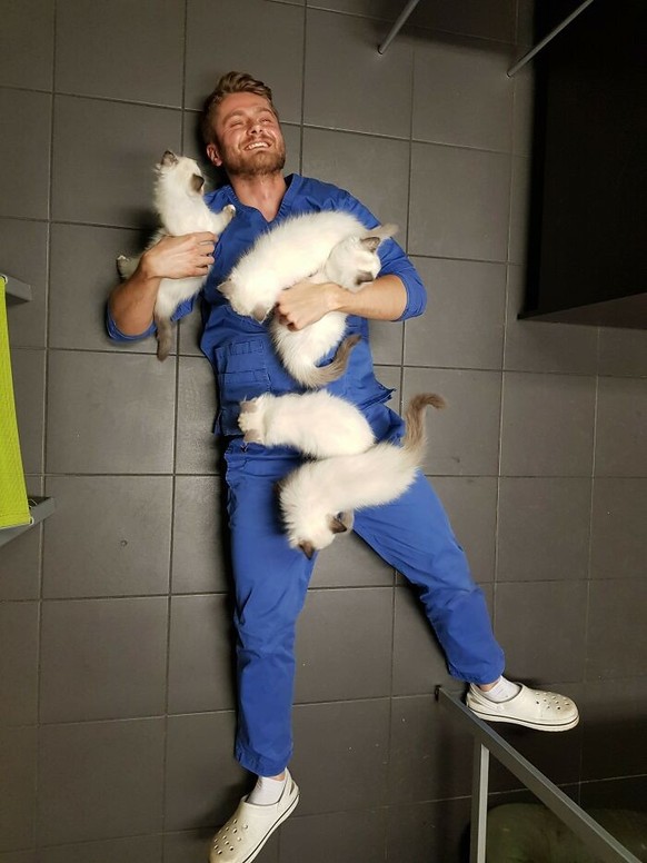 Cute News beim Tierarzt