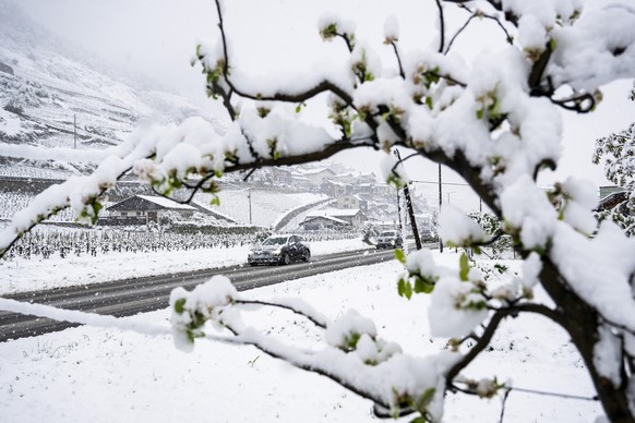 La neige tombe en pleine pendant que des vehicules circulent sur une route le jeudi 17 avril 2025 a Fully en Valais. Les fortes precipitations, qui s&#039;abattent sur le Valais depuis mercredi, n&#03 ...