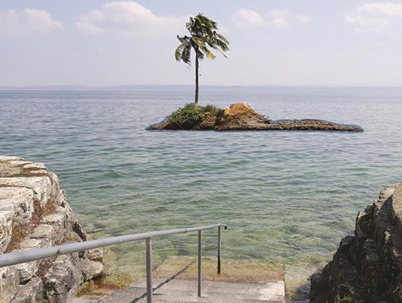 L&#039;installation de l&#039;œuvre «Le Palmier» dans le lac de Neuchâtel, près de Gorgier (NE), est annulée pour des raisons juridiques.