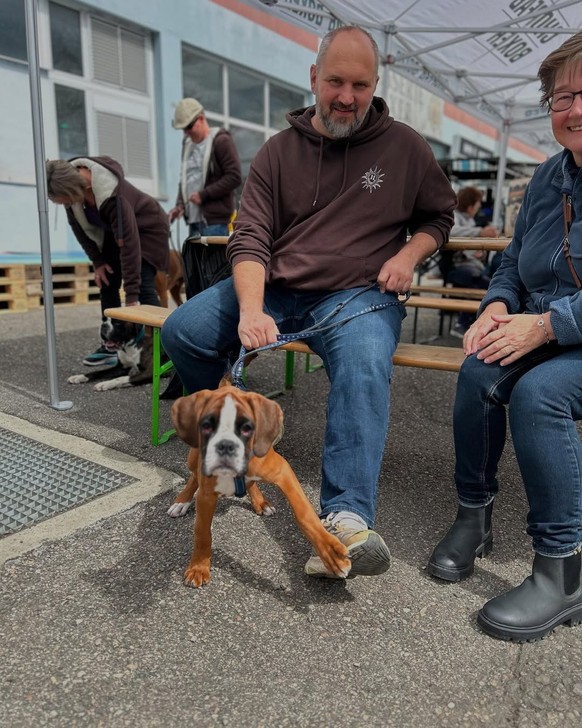 La bière Boxer retrouve son chien.