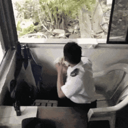 GIF animé