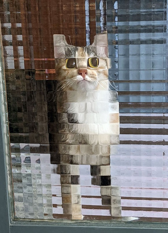 cute news tier katze

https://www.reddit.com/r/CatsBeingCats/comments/1h62ubi/this_cat_looks_pixelated_because_of_the_window/