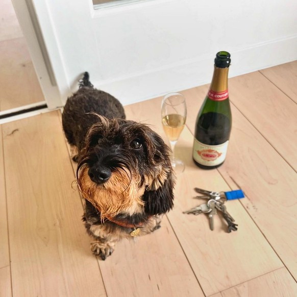 Guusje cumule plus de 14 000 abonnés sur Instagram.