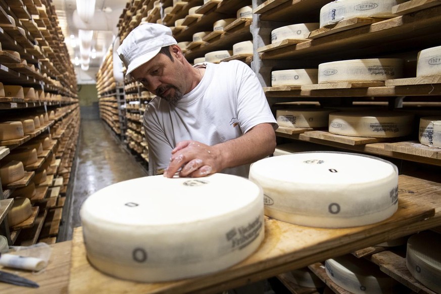 Le fromager Jean-Claude s'occupe des meules de fromage lors de la fabrication du fromage Vacherin Fribourgeois AOP a la cave de la fromagerie Moleson ce mardi 9 juin 2020 a Orsonnens. Suite a la ...