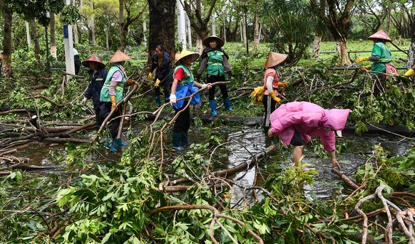 epa11590885 Staff members remove a fallen tree and branches on a street in Haikou, south China&#039;s Hainan Province, 07 September 2024. Super Typhoon Yagi pounded south China&#039;s island province  ...