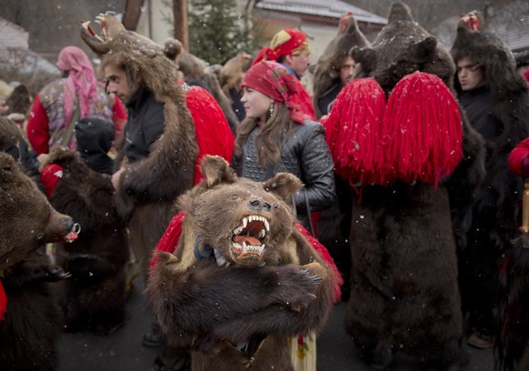 People wearing bear furs perform during a festival of New Year ritual dances attended by hundreds in Comanesti, northern Romania, Wednesday, Dec. 30 2015. In pre-Christian rural traditions, dancers we ...