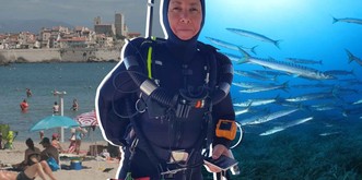 La Méditerranée se «tropicalise» et c'est inquiétant