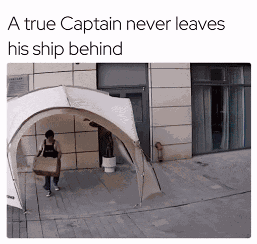 GIF animé