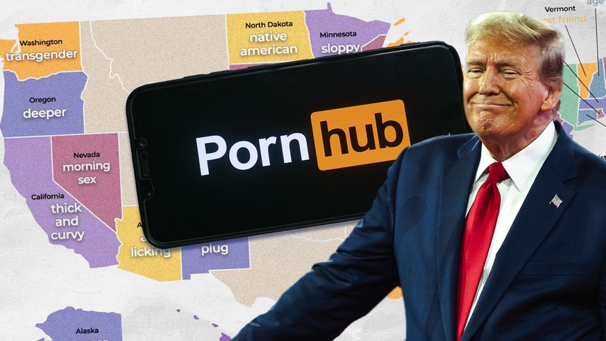 Voici ce que les Américains ont maté sur Pornhub durant les élections 