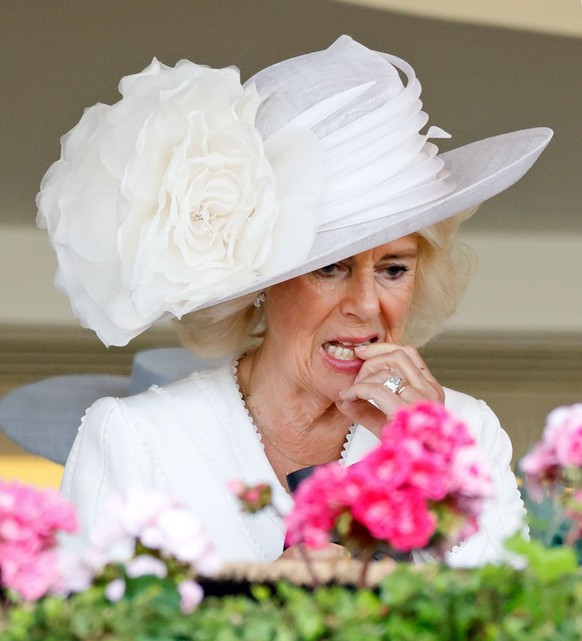 ASCOT, UNITED KINGDOM - JUNE 20: (EMBARGOED FOR PUBLICATION IN UK NEWSPAPERS UNTIL 24 HOURS AFTER CREATE DATE AND TIME) King Charles III and Queen Camilla watch, from the Royal Box, their horse &#039; ...